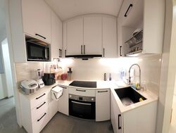 Riz Haven (D17), Apartment #481971381